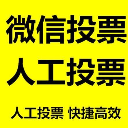 屏东县投票活动拉票能被查出来吗？如何操作能不被发现？